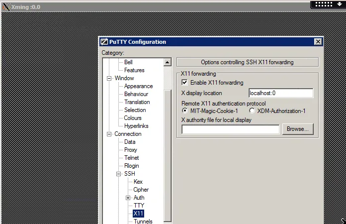1-kalilinux-kvm-xming